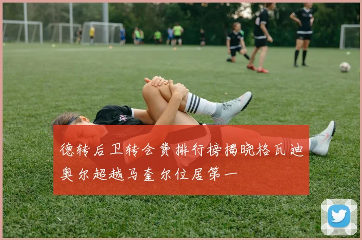 德转后卫转会费排行榜揭晓格瓦迪奥尔超越马奎尔位居第一